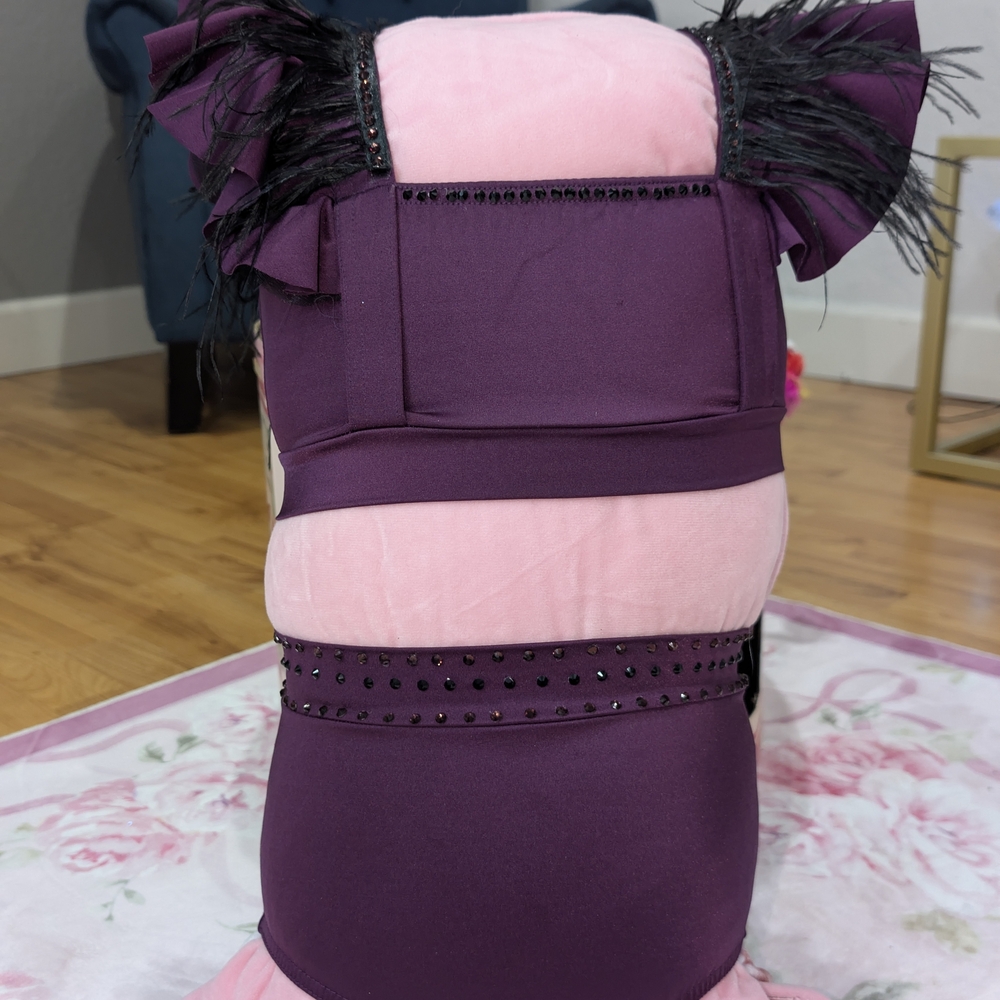 Dance Costume